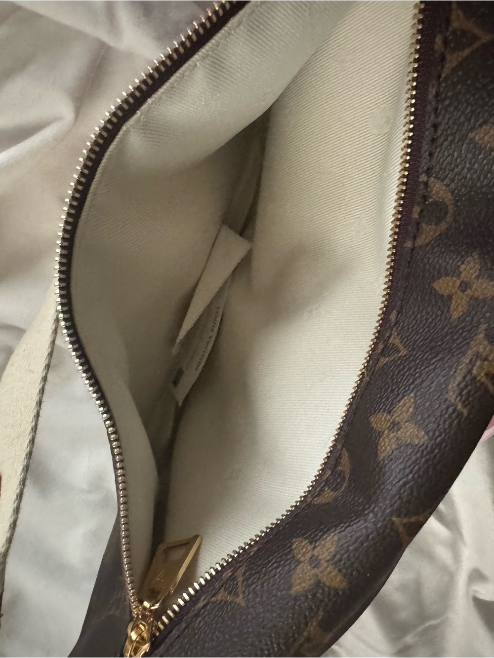 Louis Vuitton Monogram Canvas Crossbody Belt Bag in Brown and Natural - Picture 5 of 6